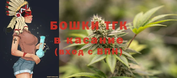 ПСИЛОЦИБИНОВЫЕ ГРИБЫ Козловка