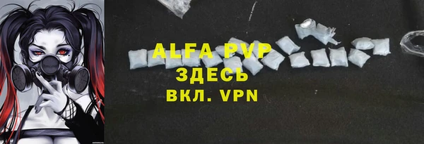 ПСИЛОЦИБИНОВЫЕ ГРИБЫ Козловка