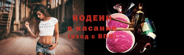 ПСИЛОЦИБИНОВЫЕ ГРИБЫ Козловка