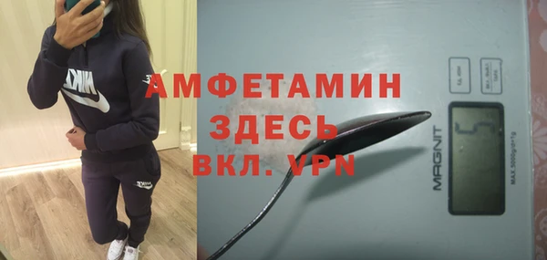 ПСИЛОЦИБИНОВЫЕ ГРИБЫ Козловка