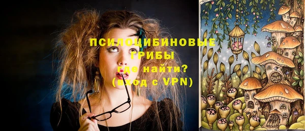 ПСИЛОЦИБИНОВЫЕ ГРИБЫ Козловка