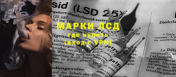 ПСИЛОЦИБИНОВЫЕ ГРИБЫ Козловка
