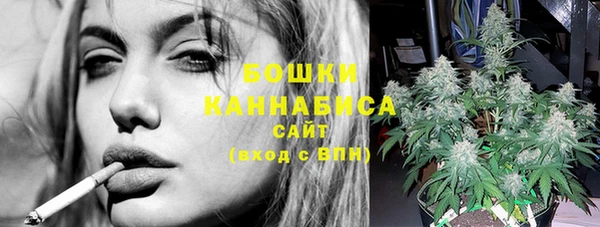 ПСИЛОЦИБИНОВЫЕ ГРИБЫ Козловка